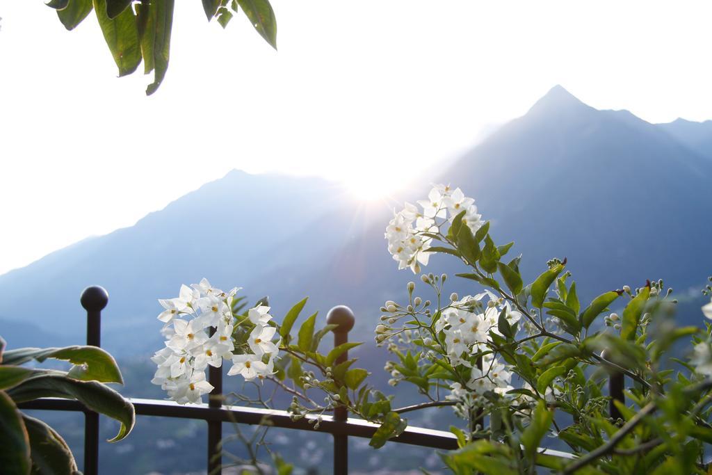 Hotel Alpenrose Schenna Extérieur photo